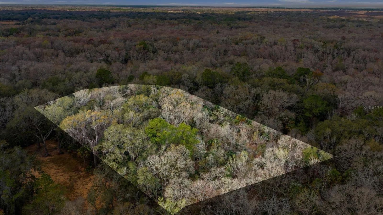 Property from 598 S CHAMBERS WAY - KW - Inverness, Florida, 34450