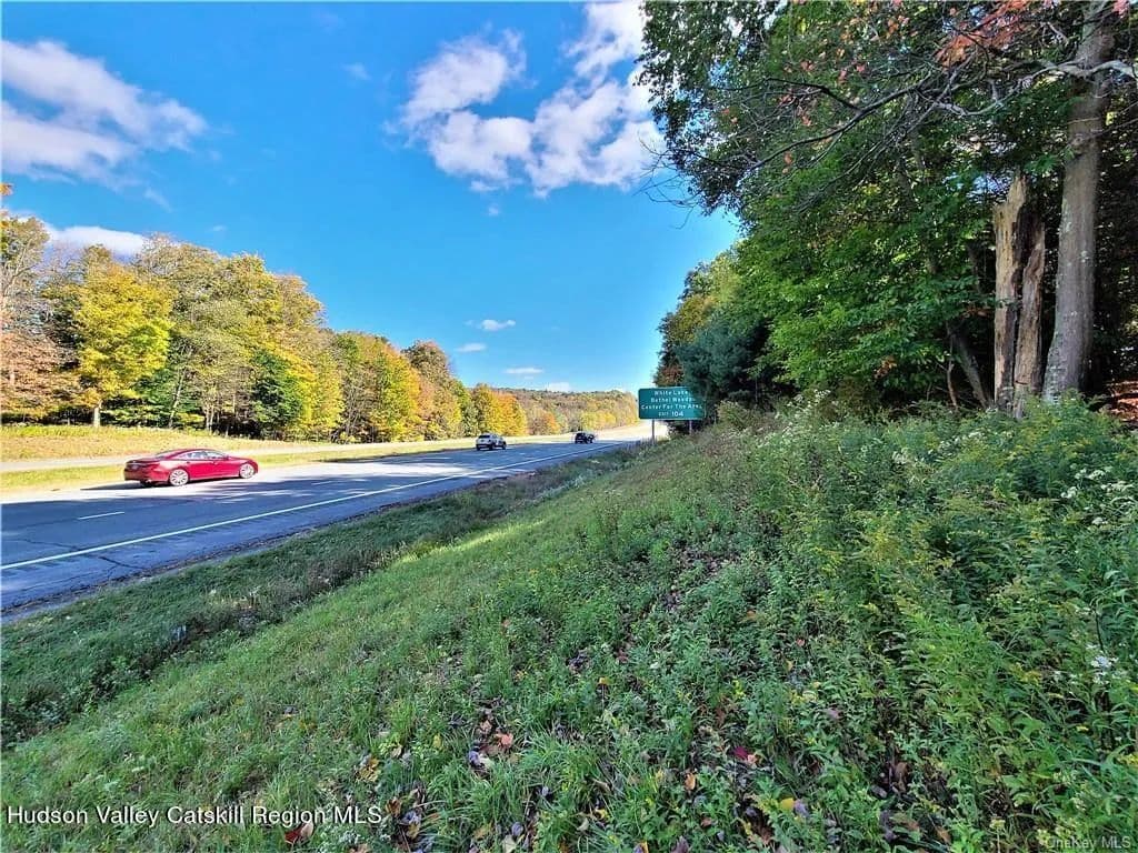 17.49 Acres of Land for Sale in Monticello, New York - Monticello, New York, 12701