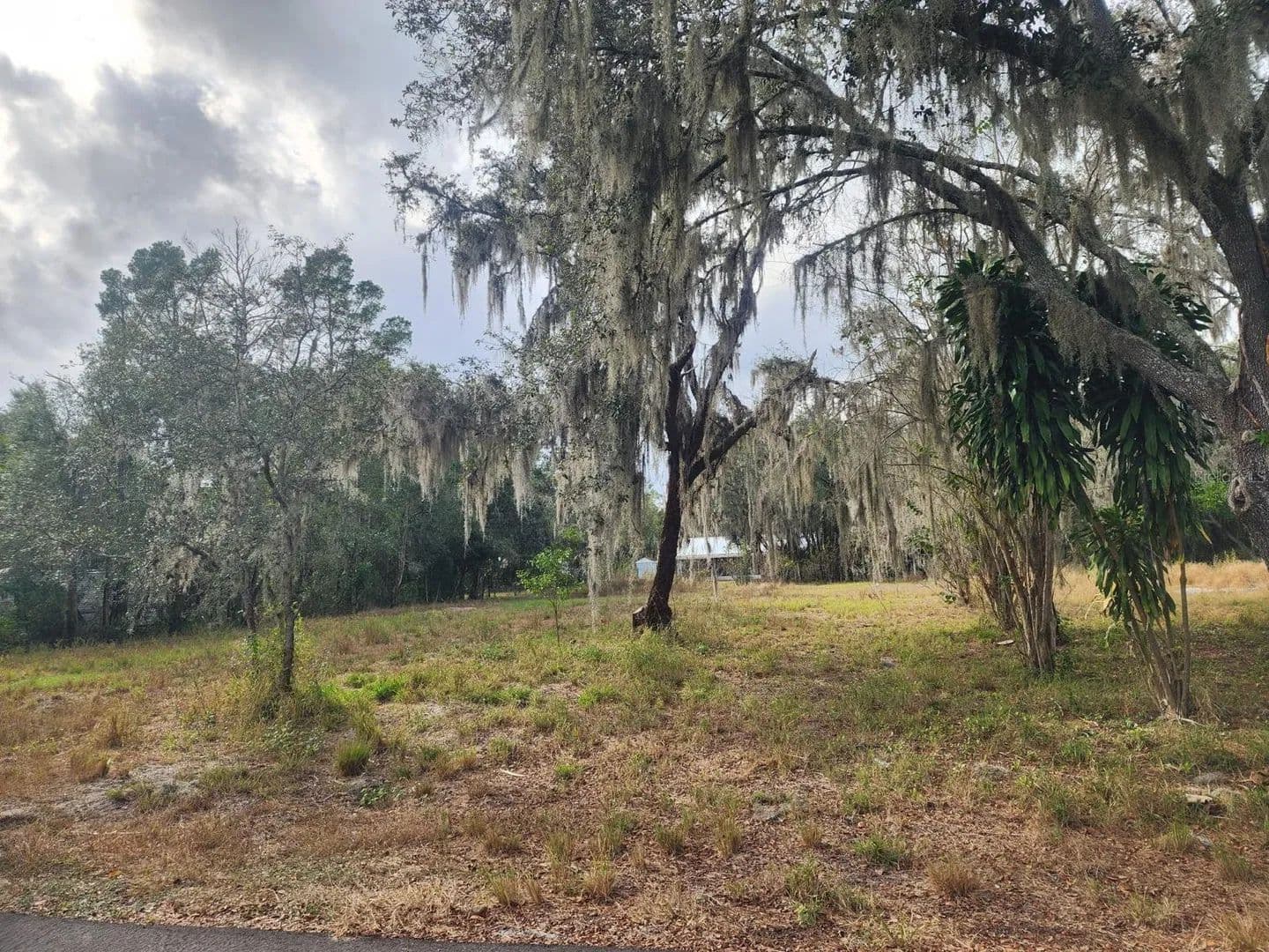 Property from 1409 WILKINSON DRIVE - KW - Plant City, Florida, 33566