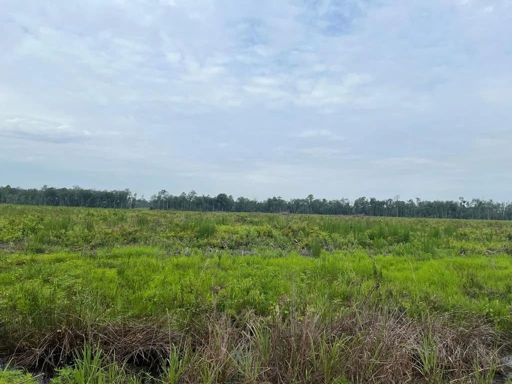 Property from 00 Sessoms And Cody - KW - Alma, Georgia, 31510