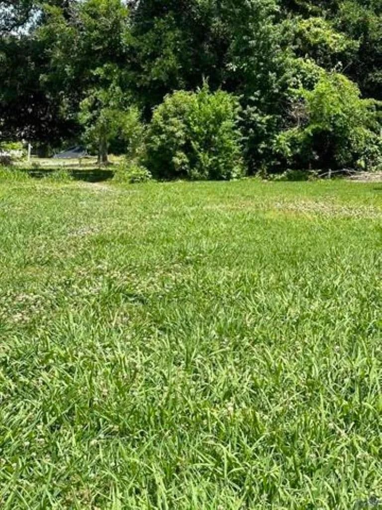 Property from 292 Grand Caillou Road - KW - Houma, Louisiana, 70363