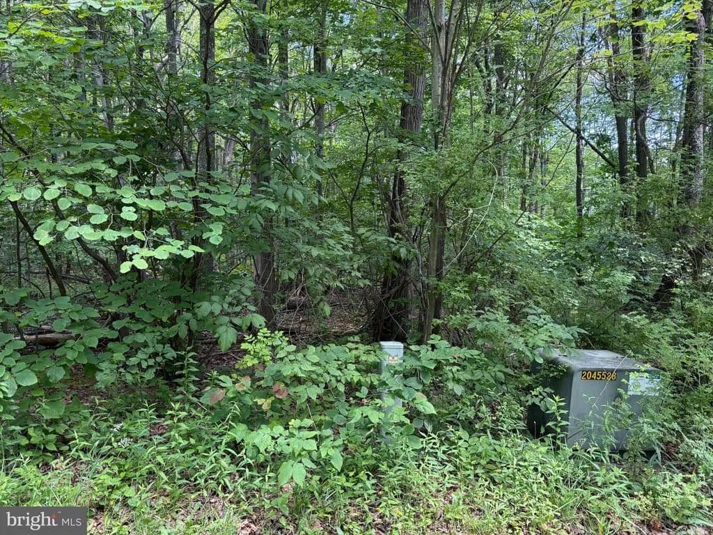 2.01 Acres of Land for Sale in Swanton, Maryland - Swanton, Maryland, 21561