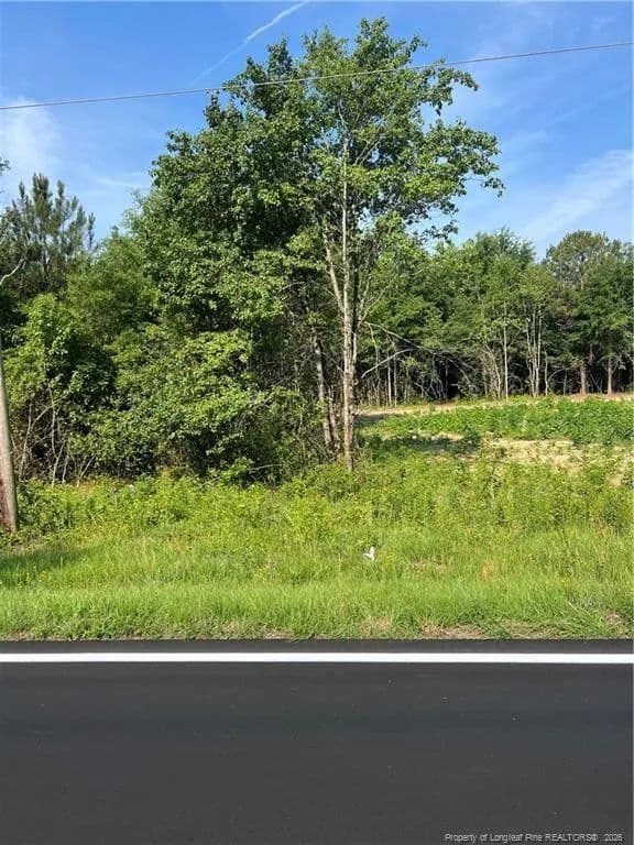 Property from 0 produce market rd Road - KW - Laurinburg, North Carolina, 28352