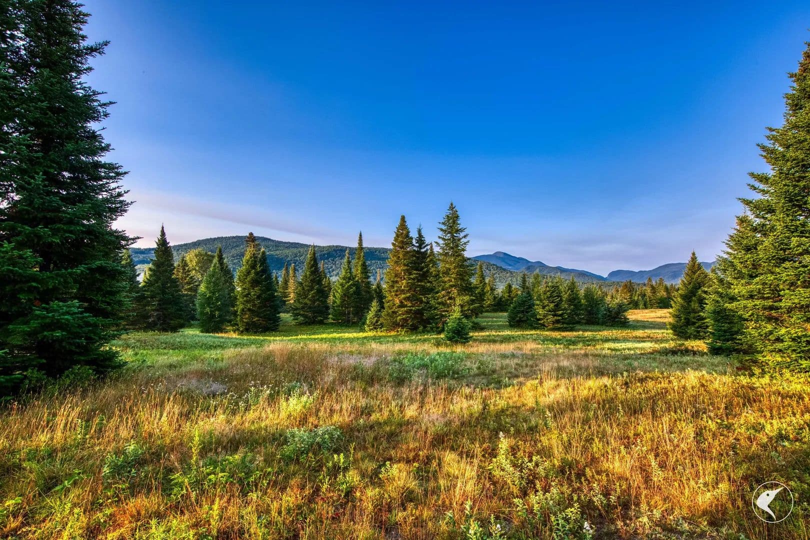 5.24 Acres of Land for Sale in Lake Placid, NY - Lake Placid, New York, 12946