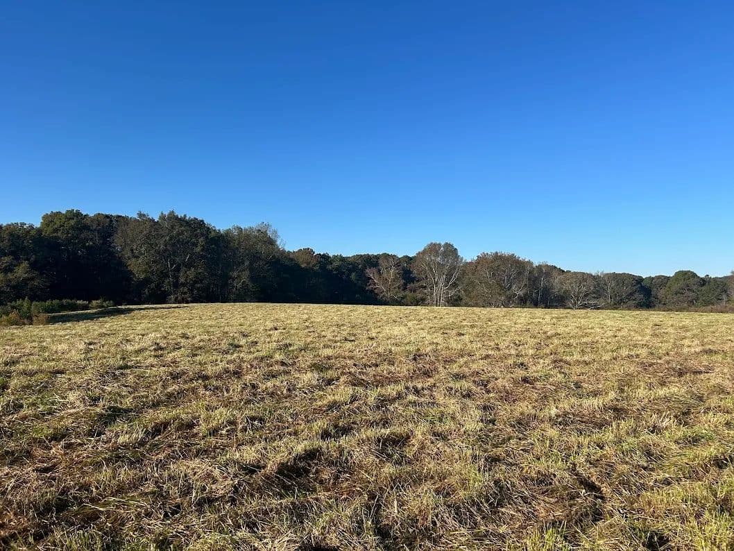 Land -Agricultural (Not Zoned) in Bowdon - Bowdon, Georgia, 30108
