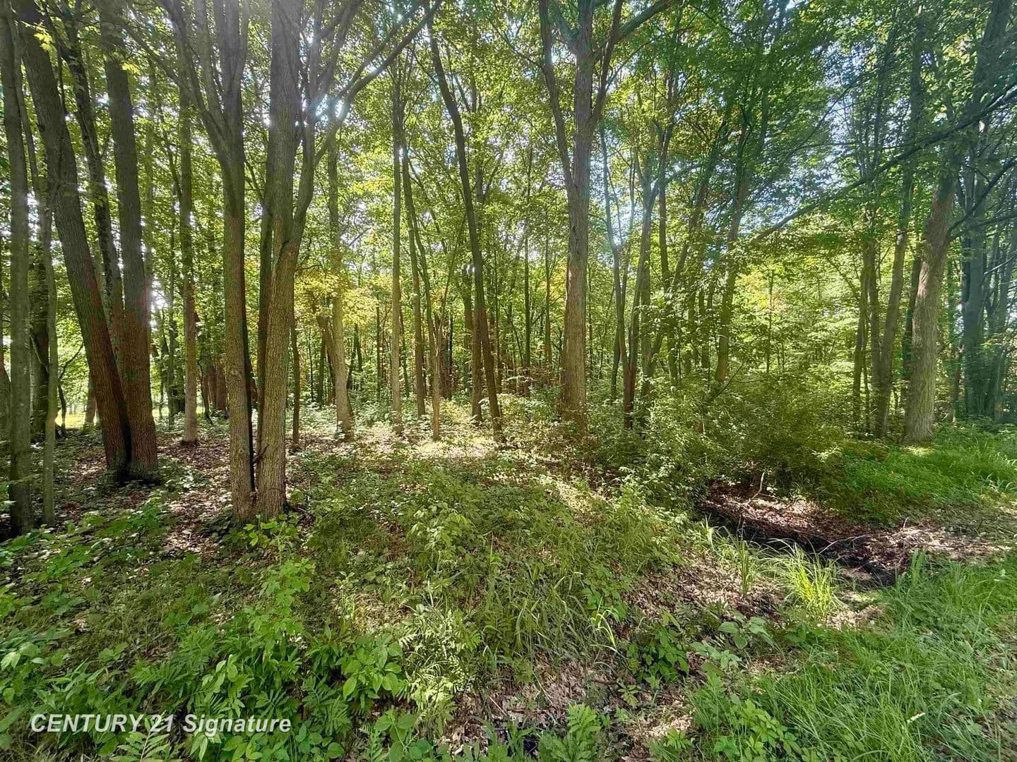 Property from 0 Seymour - KW - Burt, Michigan, 48417