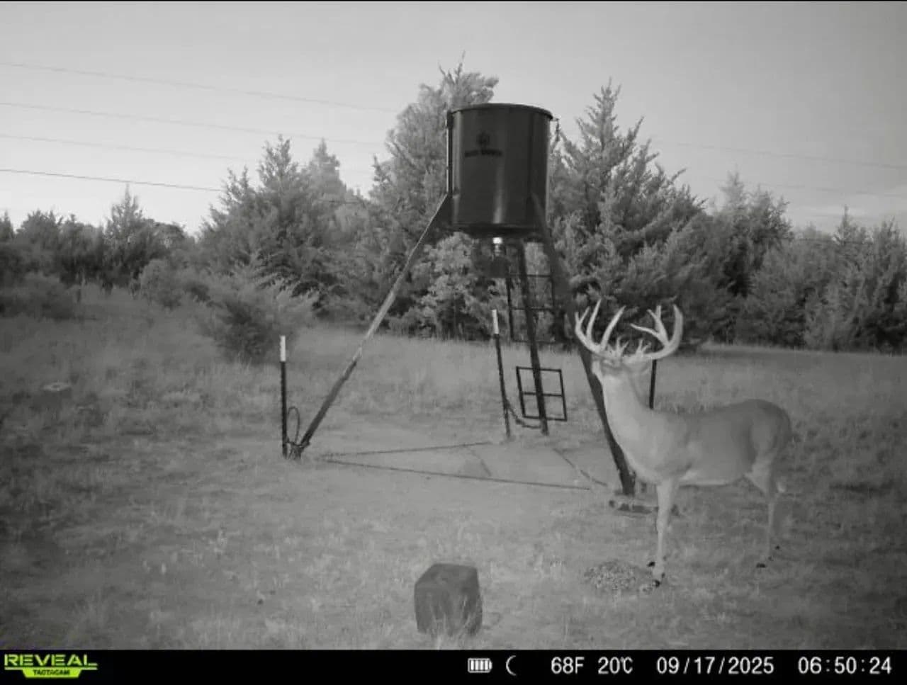 Route 66 Homesite & Hunting 31.5 Acres | Chandler, OK - land for sale