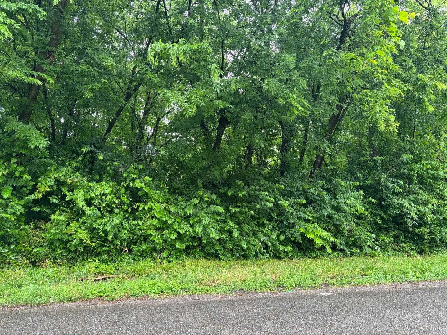 Property from 891 Gaut Street NE - KW - Cleveland, Tennessee, 37311