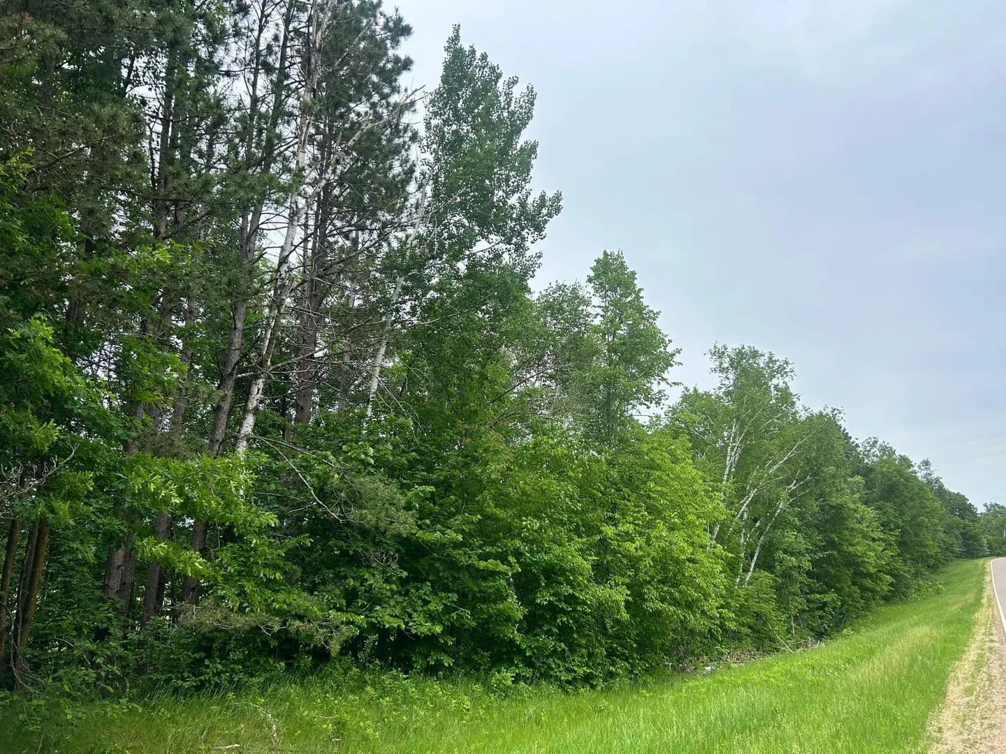 Property from TBD County Rd 16 - KW - Cushing, Minnesota, 56443