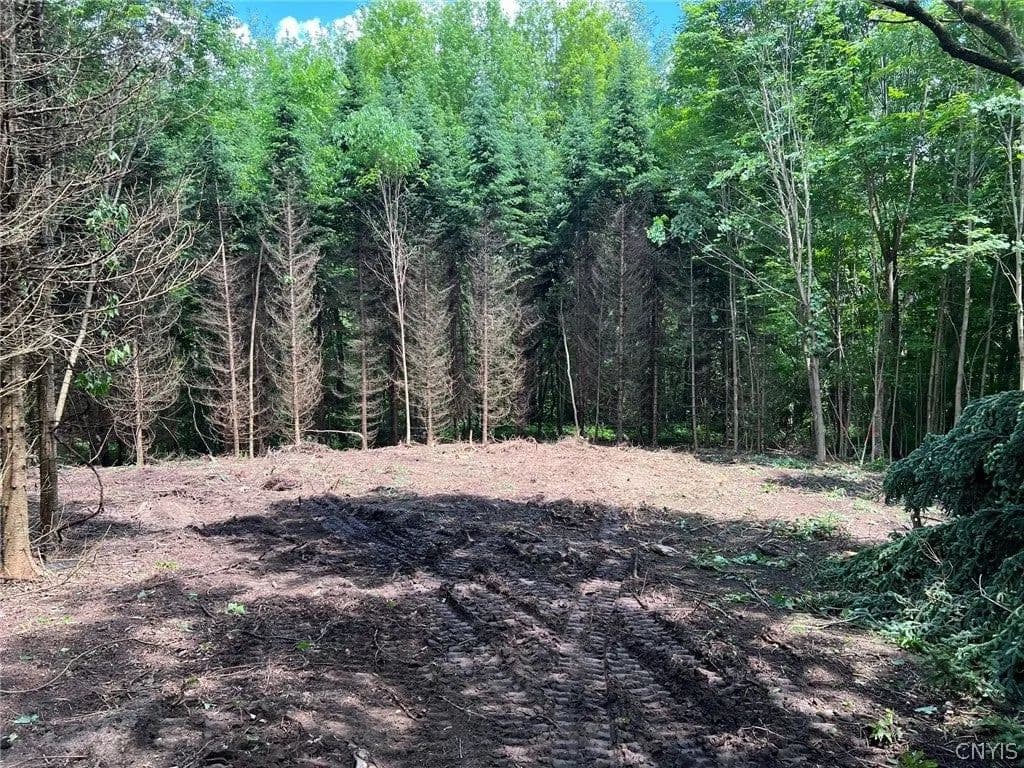 Lots & Land-Other in La Fayette - La Fayette, New York, 13084