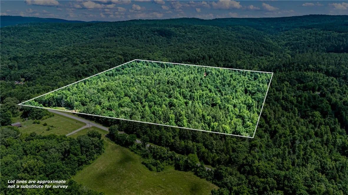40 Acres of Land for Sale in Oark, Arkansas - Oark, Arkansas, 72852