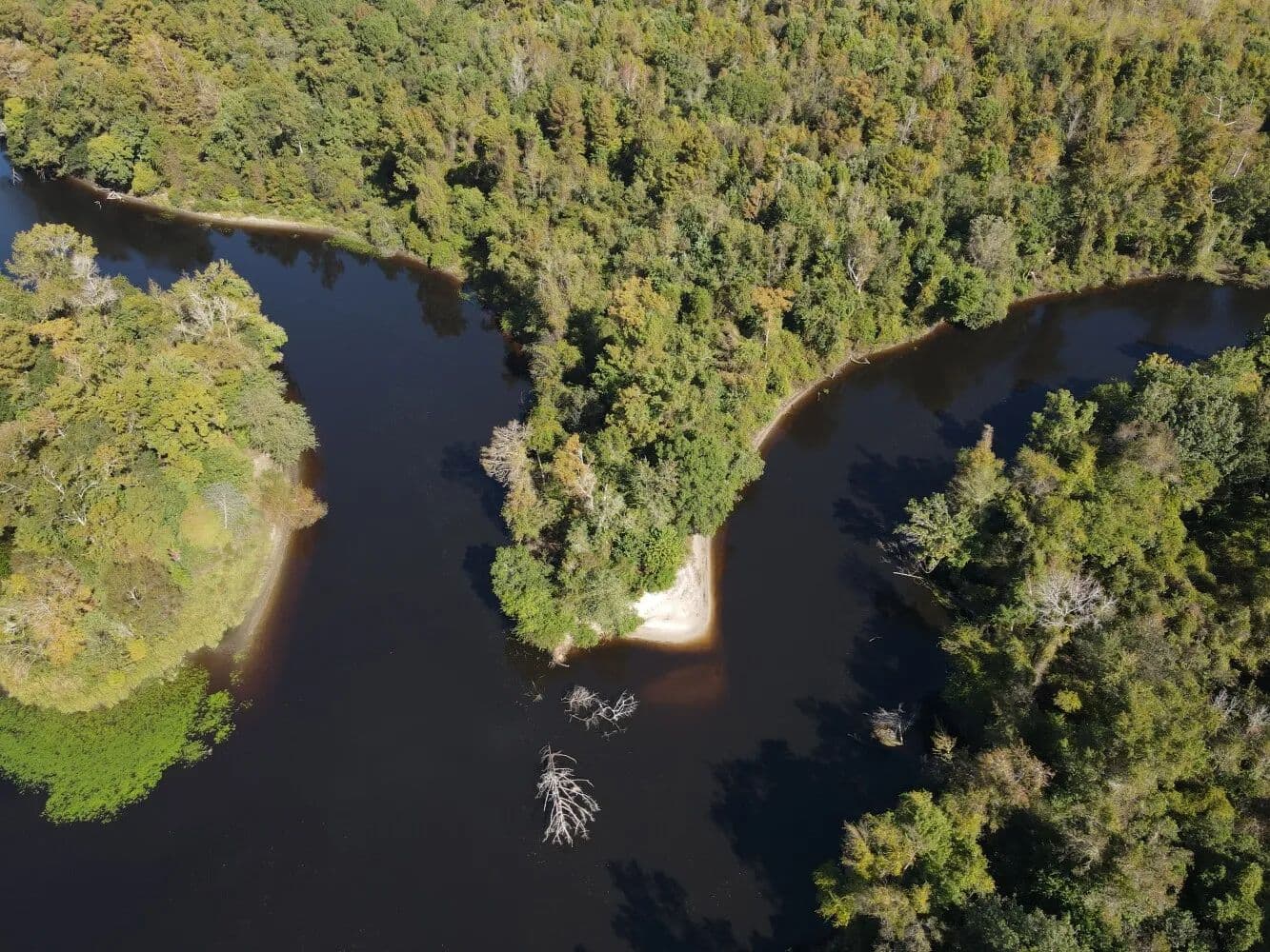 NorthEast Cape Fear River Hunting Land - Burgaw, North Carolina, 28425