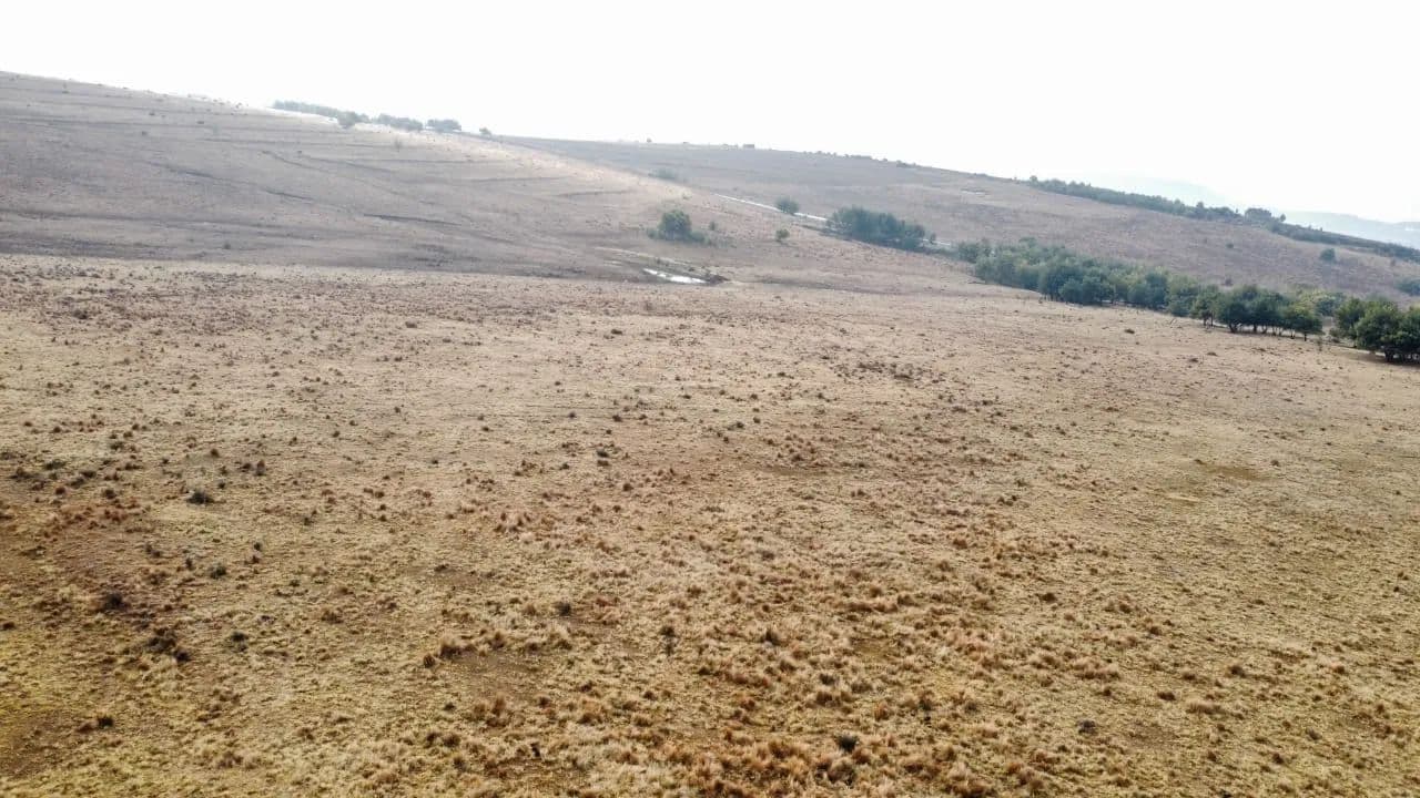 247 Acres of Land for Sale in Ladybrand, Free State - land for sale