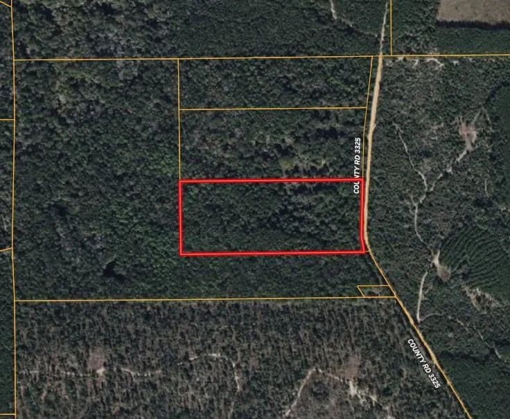17.5 Acres of Land for Sale in Colmesneil, Texas - Colmesneil, Texas, 75938