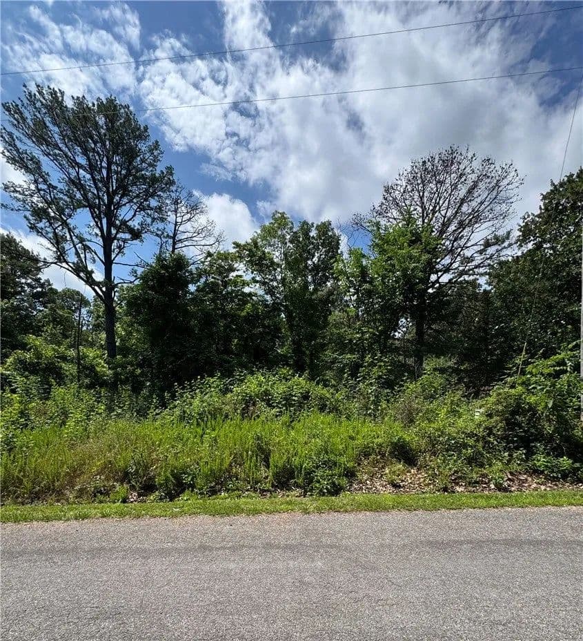Lots & Land-Other in Bella Vista - Bella Vista, Arkansas, 72714