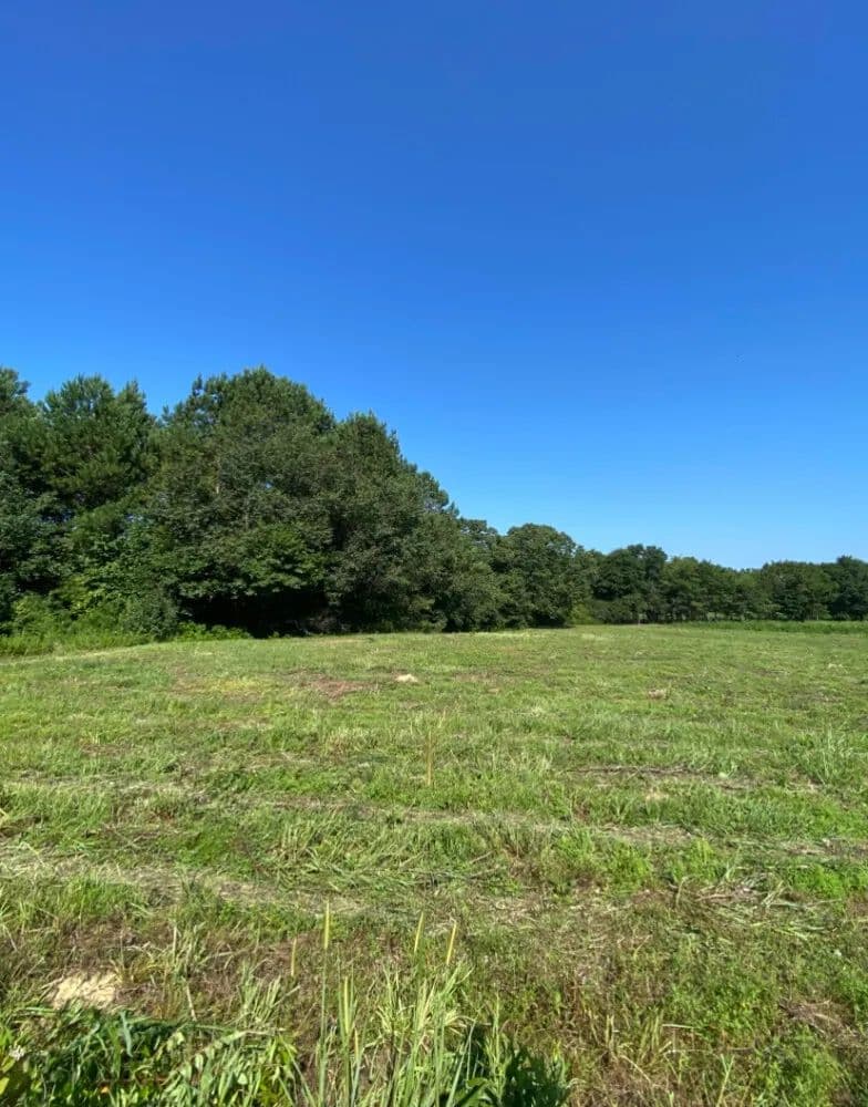 20 Acre Beeswax Creek Farm - Columbiana, Alabama, 35051