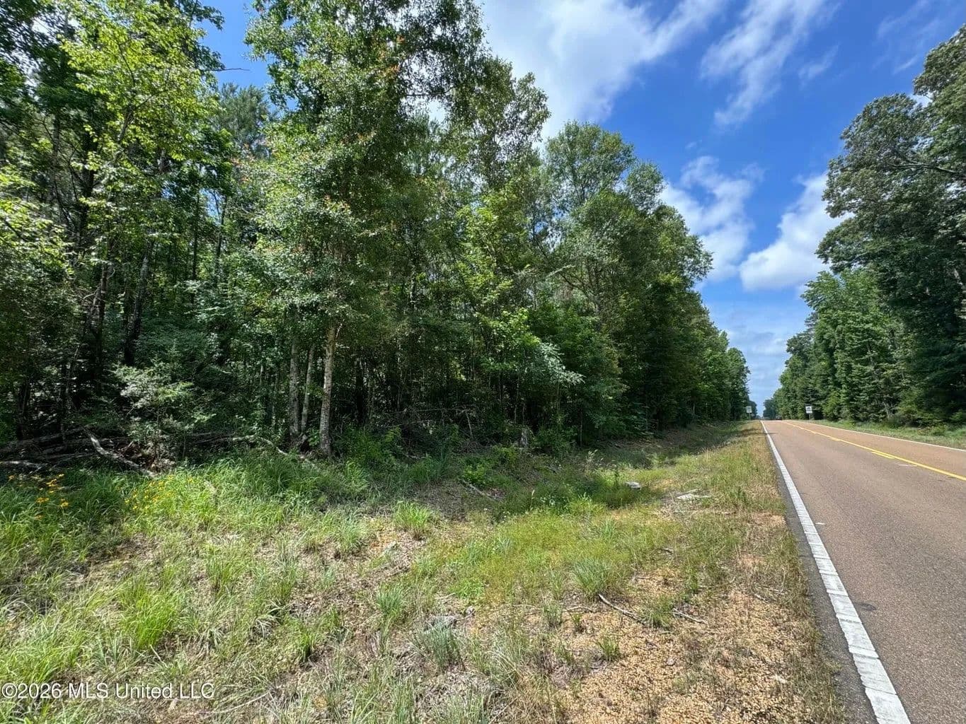 4.25+- Acres for sale in Amite County MS - Liberty, Mississippi, 39645