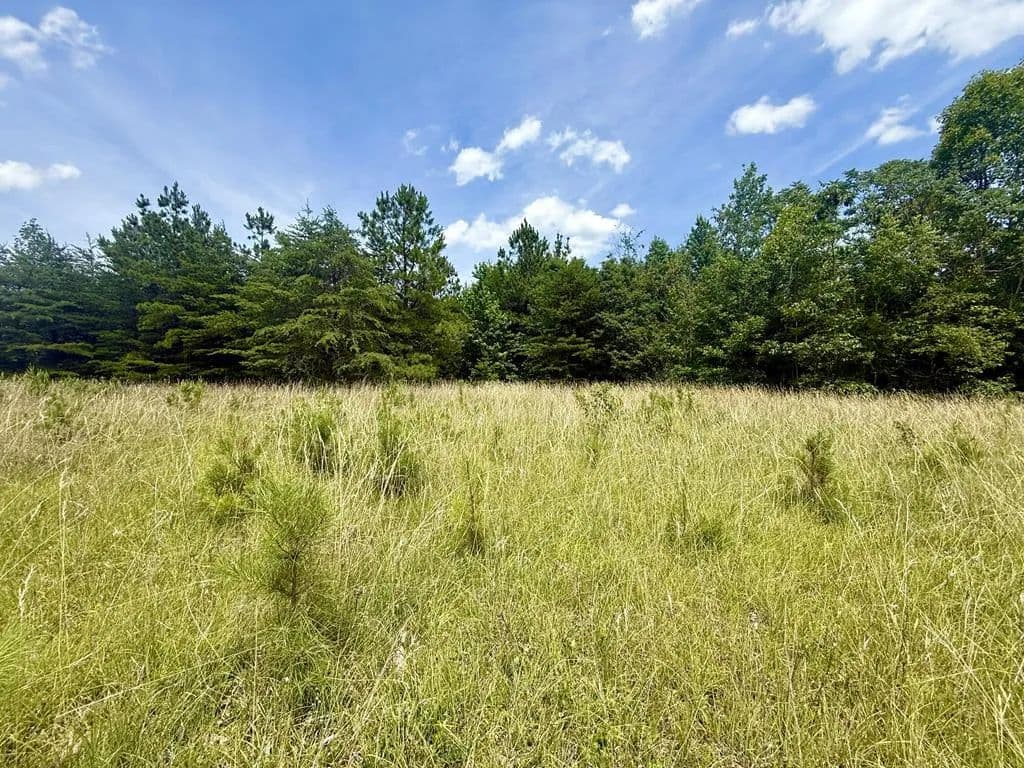 Property from Whispering Wood Rd #25 - KW - Meherrin, Virginia, 23954