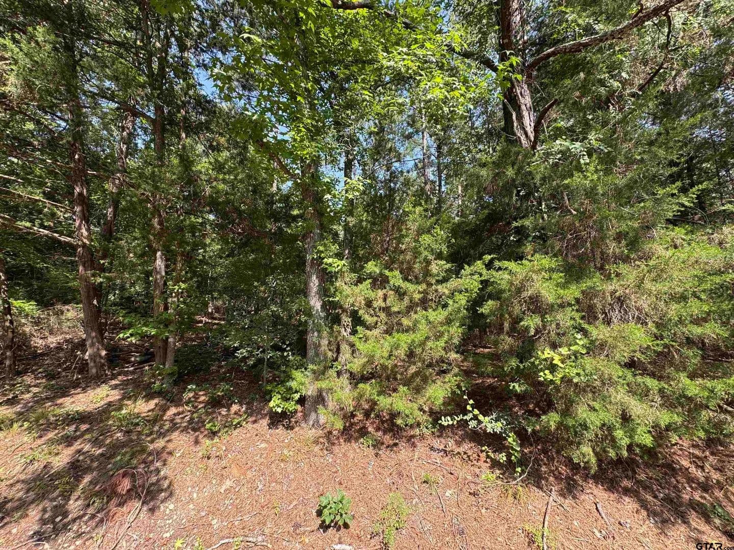 0.3 Acres of Land for Sale in Mt Vernon, TX - Mt Vernon, Texas, 75457