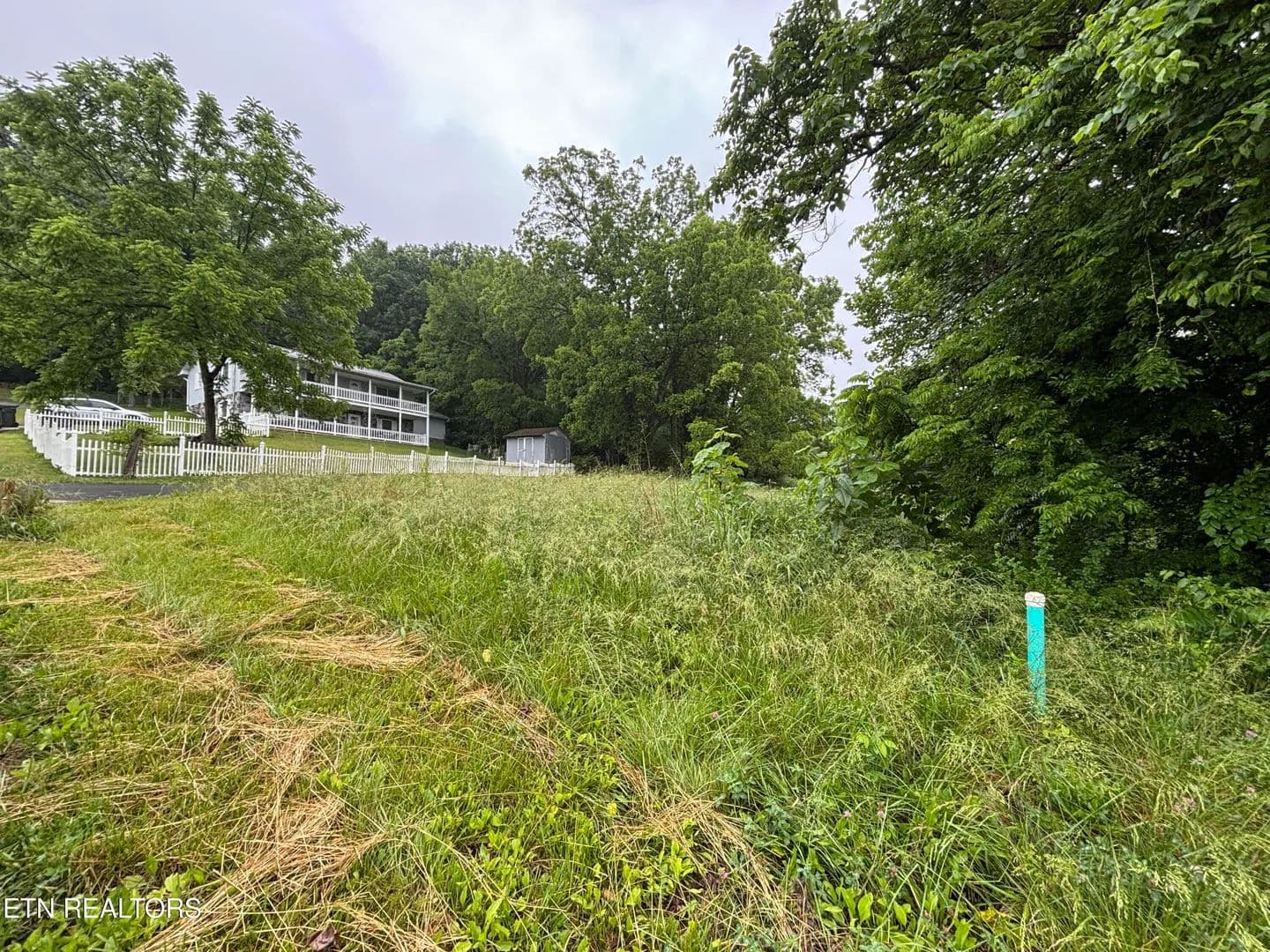 Property from Morrell Springs Rd - KW - Newport, Tennessee, 37821
