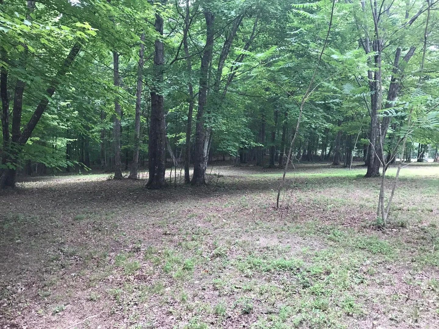 Property from 503 Wilderness Way - KW - Dunlap, Tennessee, 37327