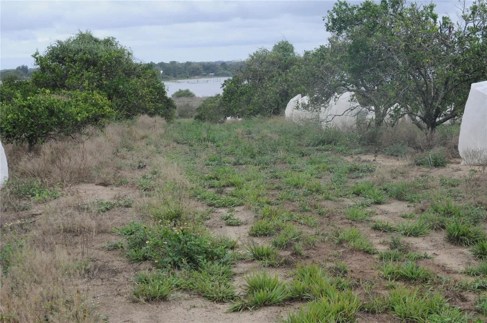10.24 Acres of Land for Sale in AVON PARK, FL - Avon Park, Florida, 33825