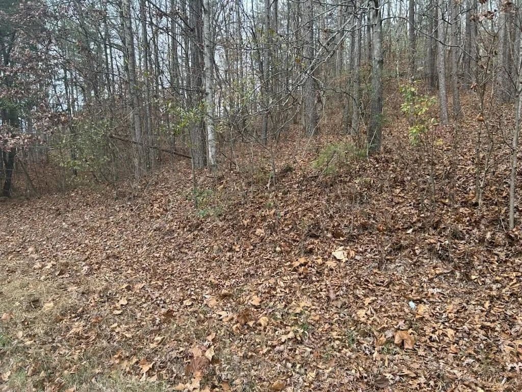 Property from 00 Old Chattanooga Road - KW - Tunnel Hill, Georgia, 30755
