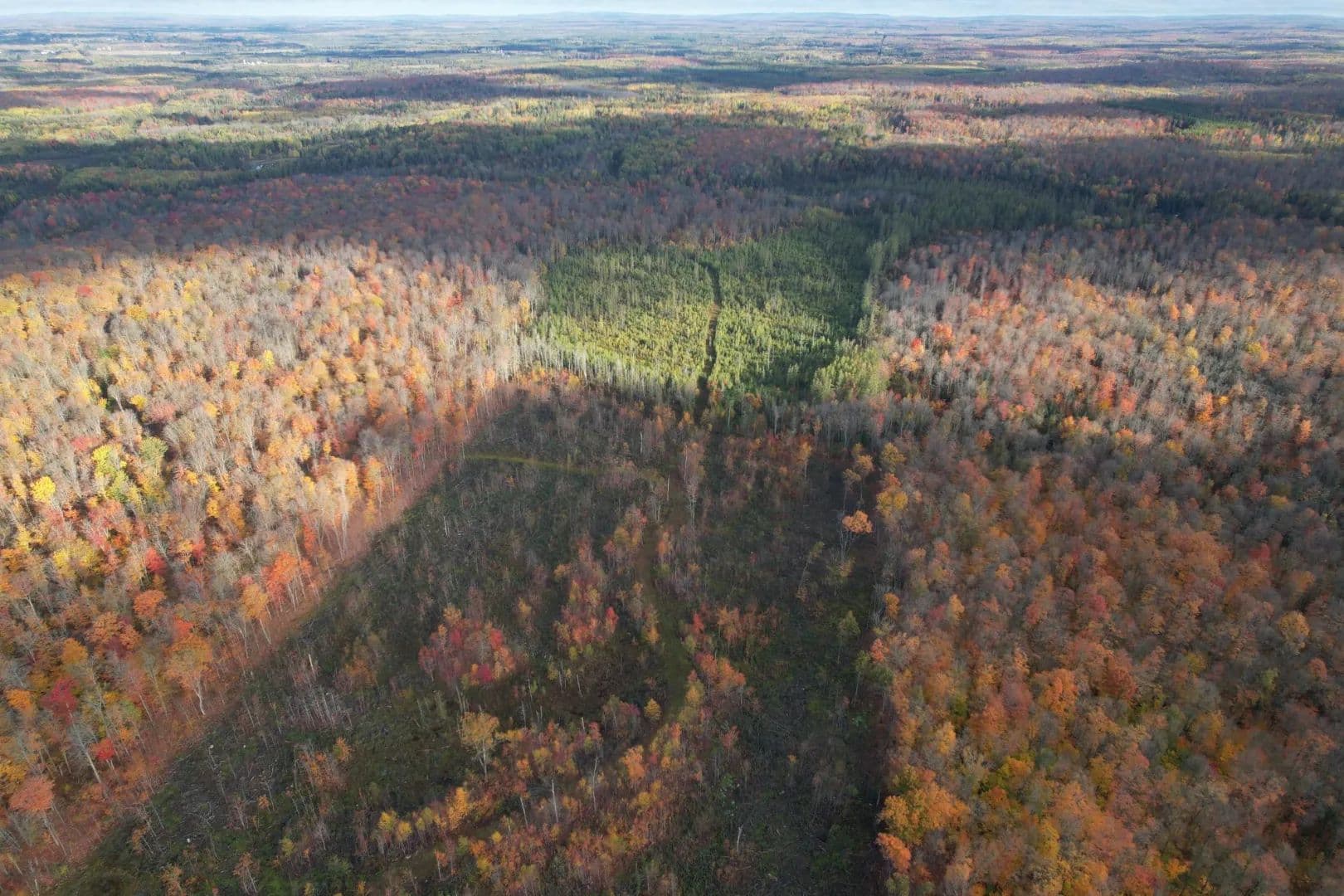 160 Acres of Hunting Land in Ashland County, WI for Sale - land for sale
