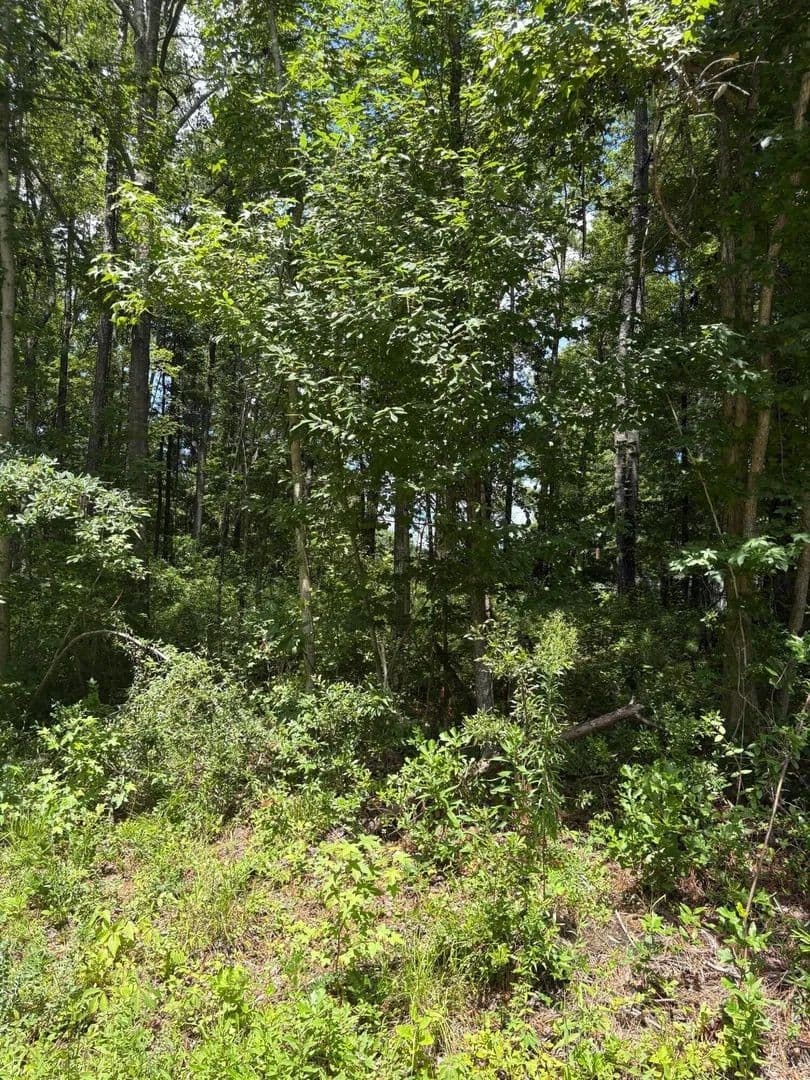 Vacant Land in North Charleston - North Charleston, South Carolina, 29418