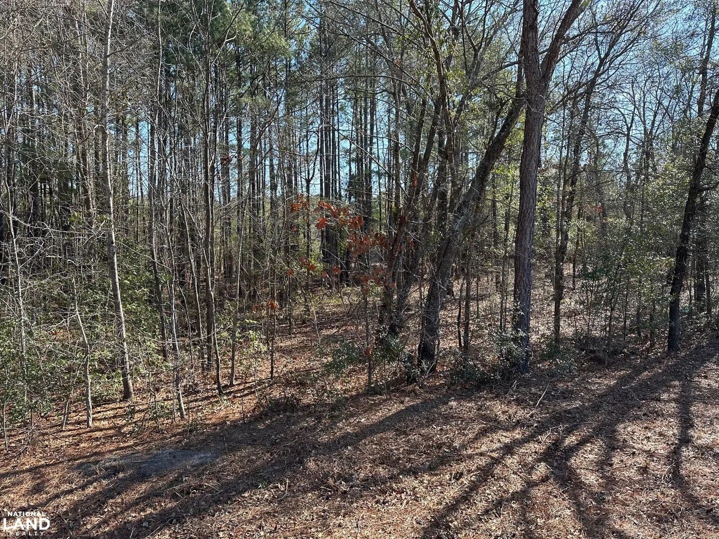 Buies Mill Rd. Lot 5 - Red Springs, North Carolina, 28377
