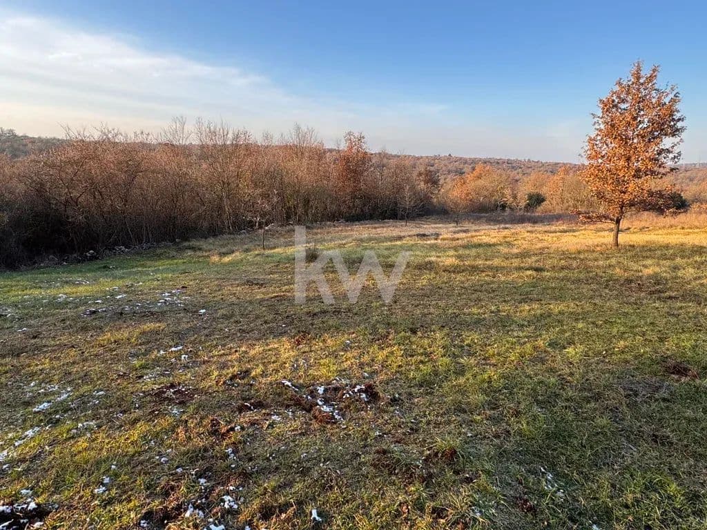 606 Acres of Land for Sale in Buje, Istarska županija - land for sale