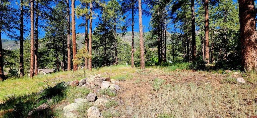 0.21 Acres of Land for Sale in Durango, CO - Durango, Colorado, 81301