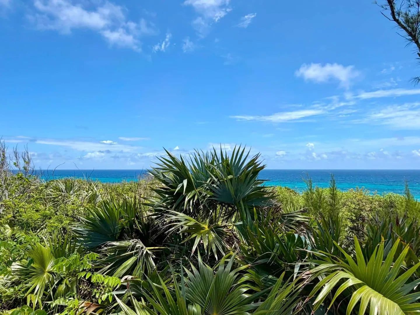 Vacant Land in Gregory Town, Eleuthera - land for sale