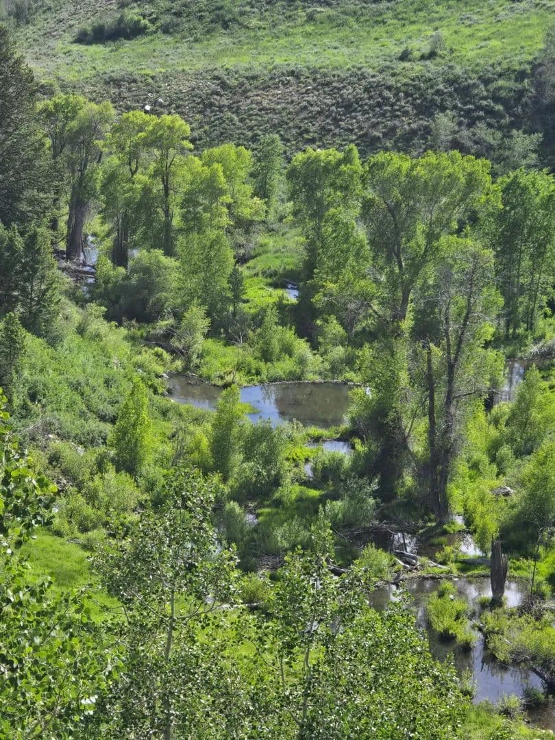 Land -Single Family Acreage in Huntsville - land for sale