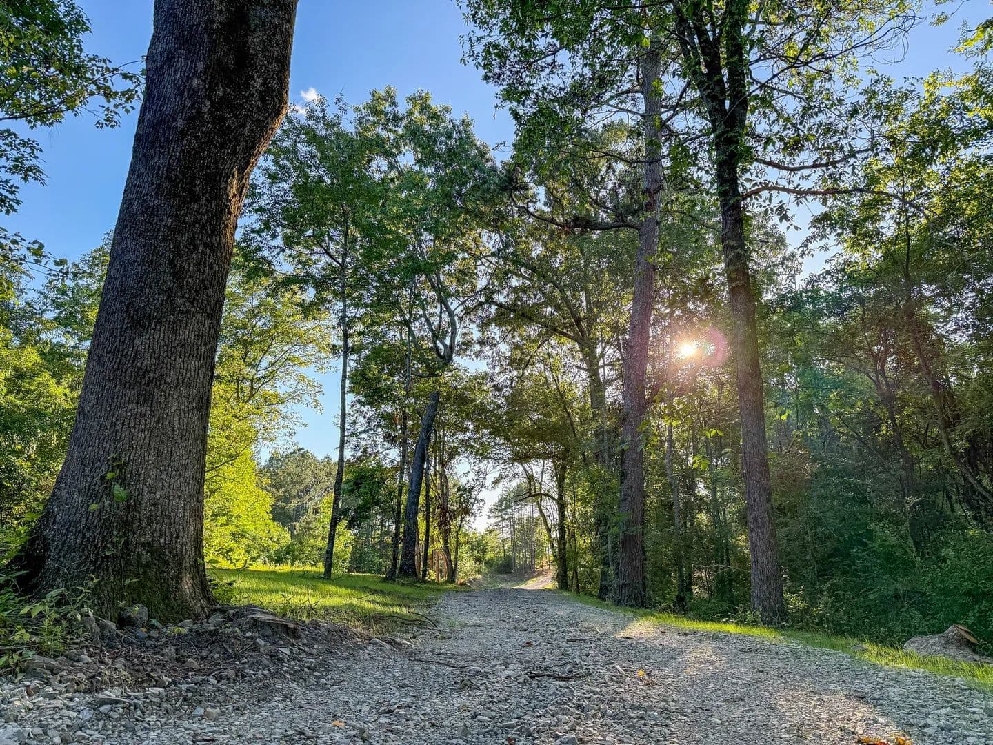5-Acre Mini Farm for Sale | Dade County Georgia | Near Chattanooga TN - Trenton, Georgia, 30752