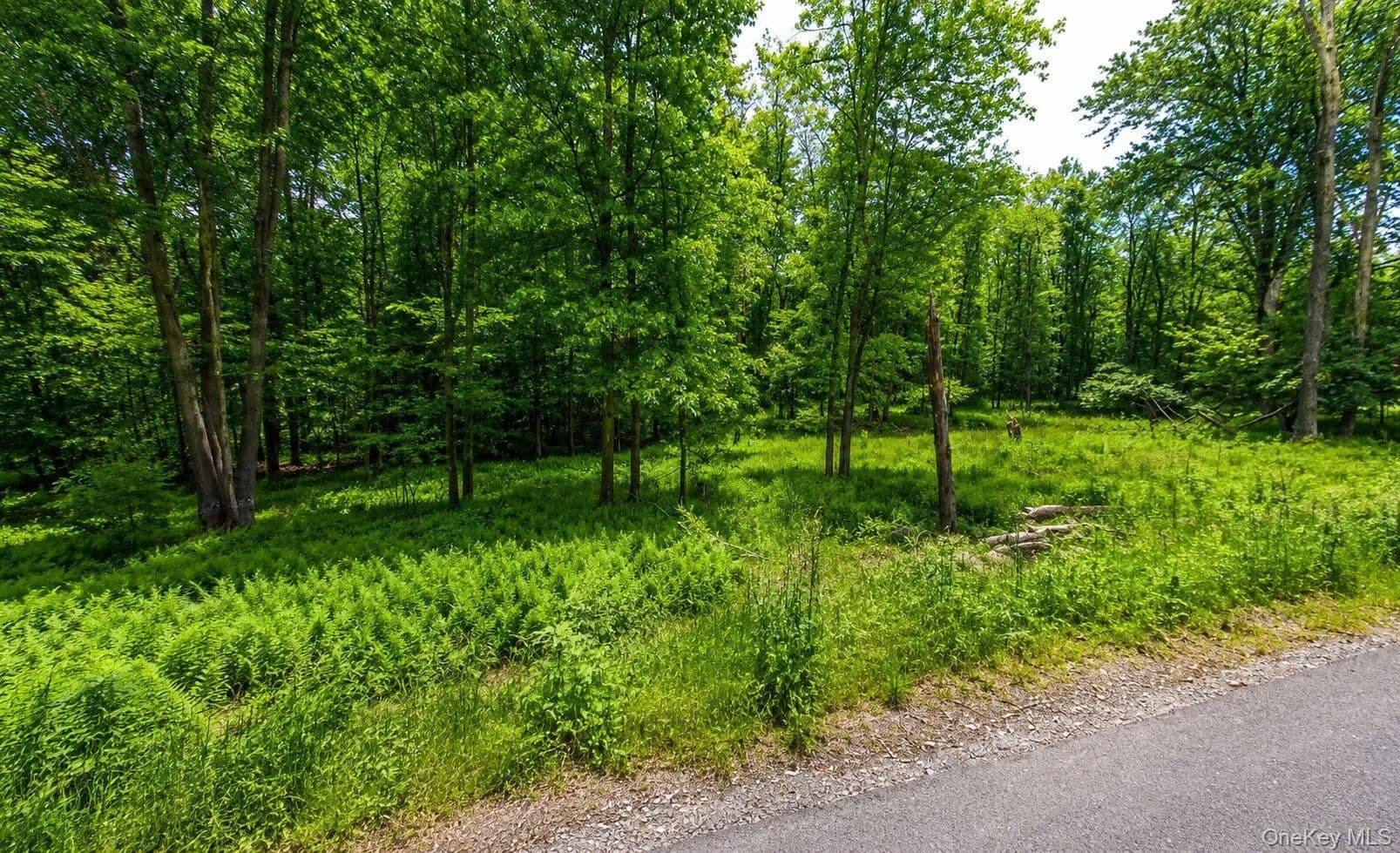 Land for Sale in Thompsonville, NY - Thompsonville, New York, 12701