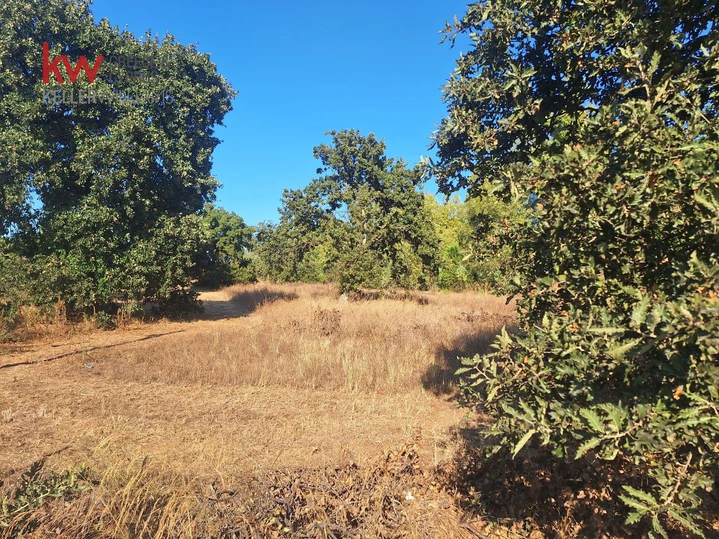 Land for Sale in Movri, Achaia - land for sale