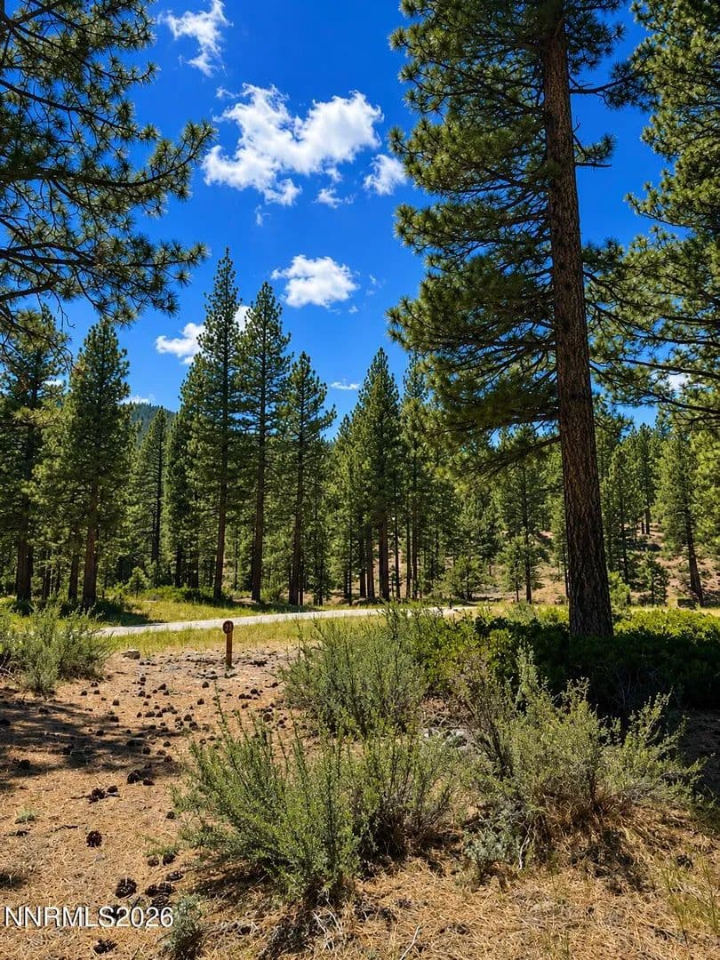 Property from 406 Rose Summit Trail #348 - KW - Carson City, Nevada, 89705