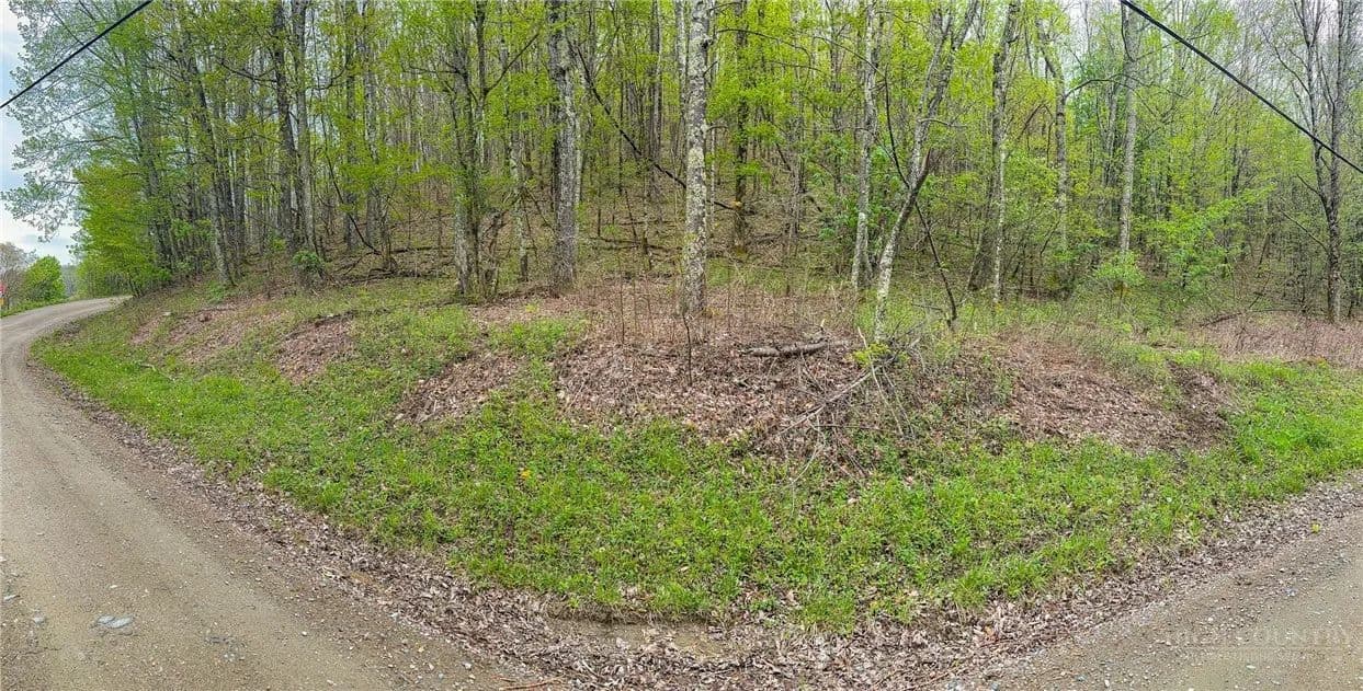 3.42 Acres of Land for Sale in Zionville, NC - Zionville, North Carolina, 28698
