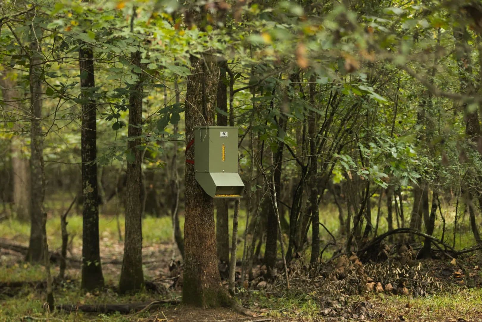 303 Acres in Grant County, AR - Tull, Arkansas, 72015
