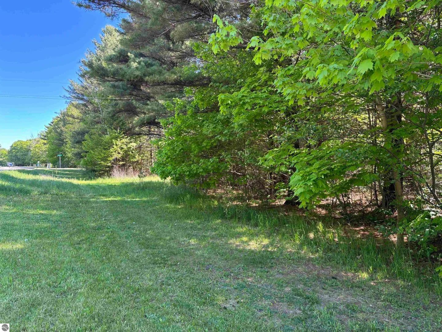 Property from Servers Drive - KW - Central Lake, Michigan, 49622