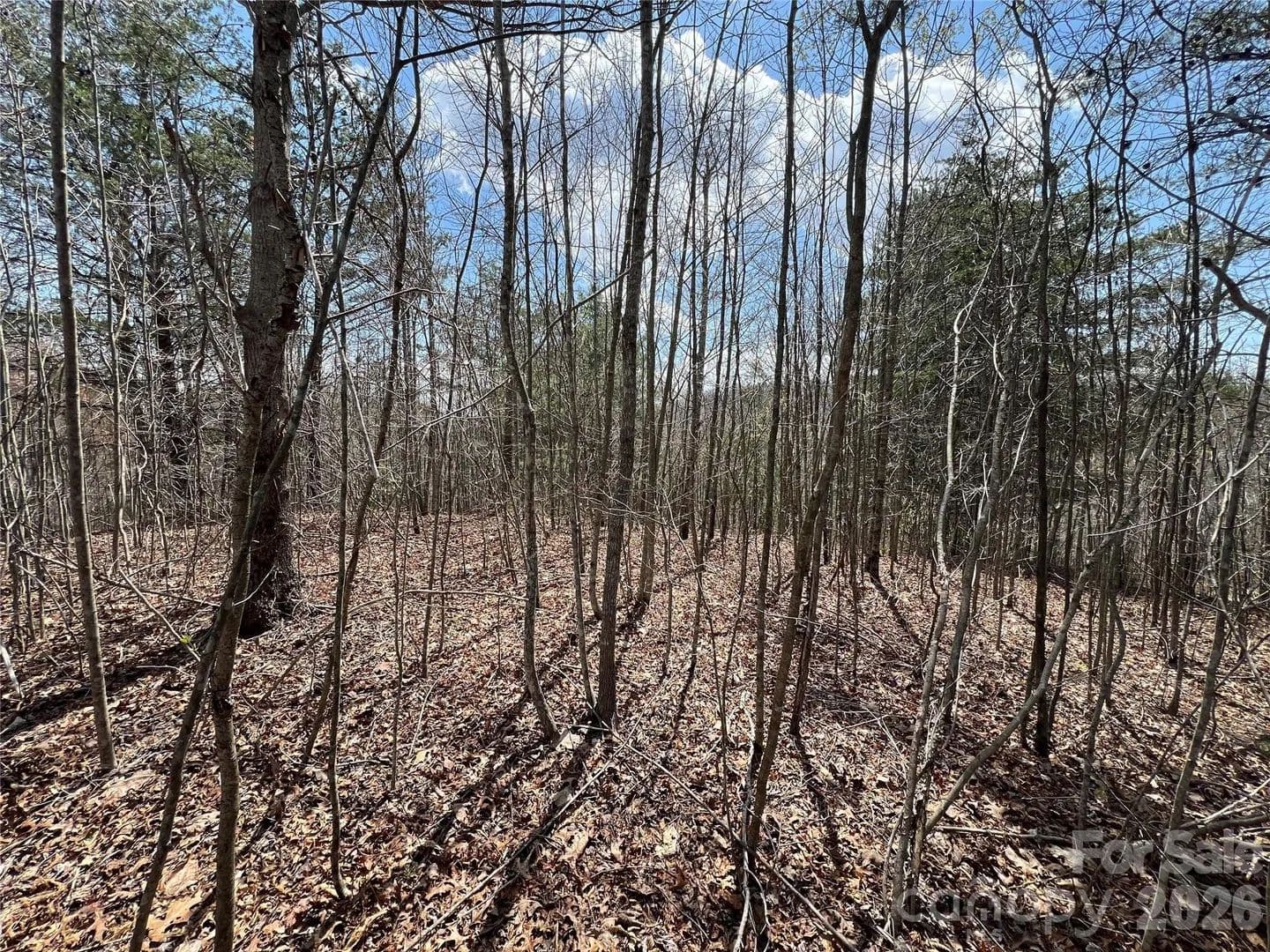 2.78 Acres of Land for Sale in Marshall, North Carolina - Marshall, North Carolina, 28753