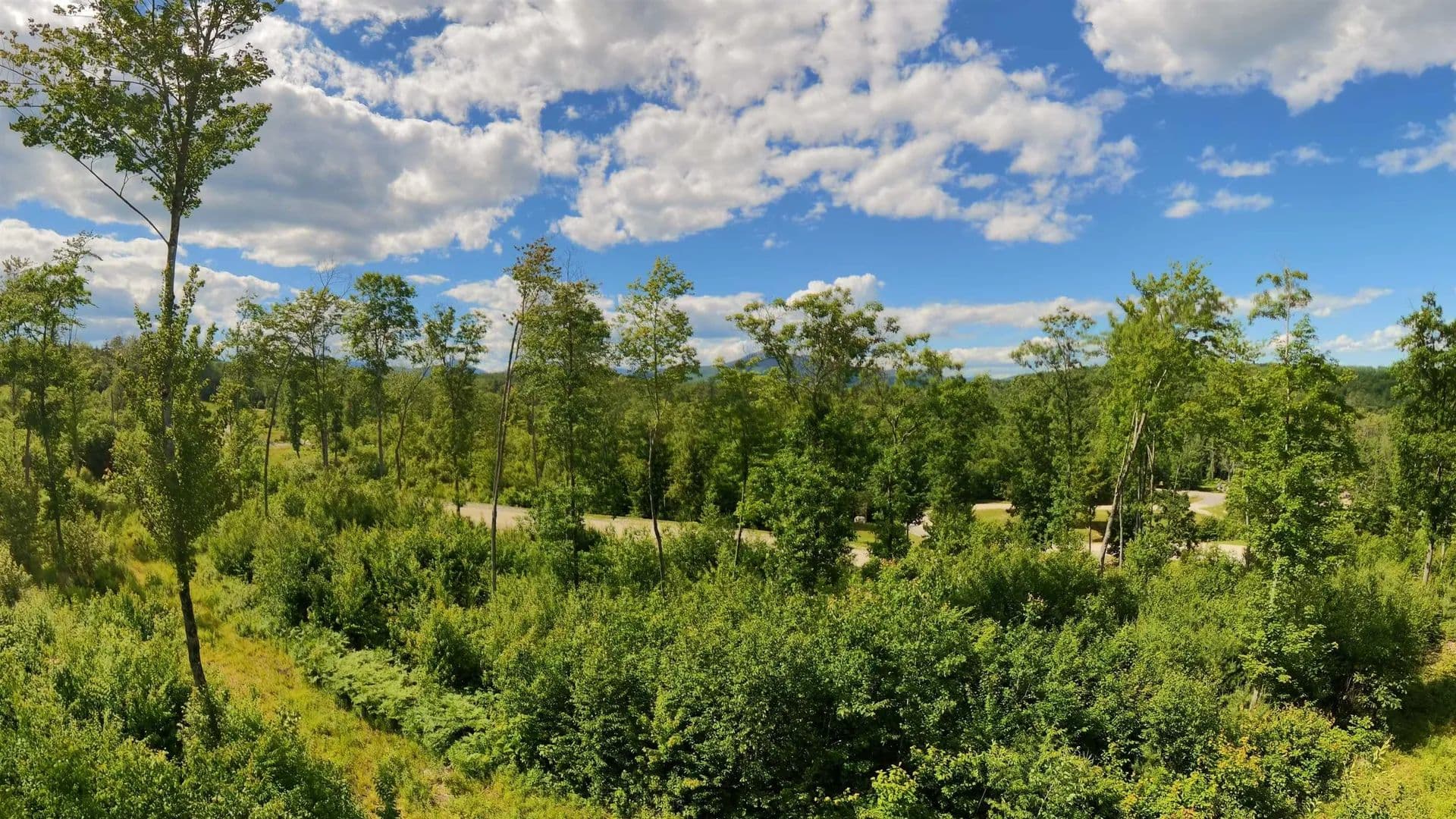 3.86 Acres of Land for Sale in Tamworth, NH - Tamworth, New Hampshire, 03817