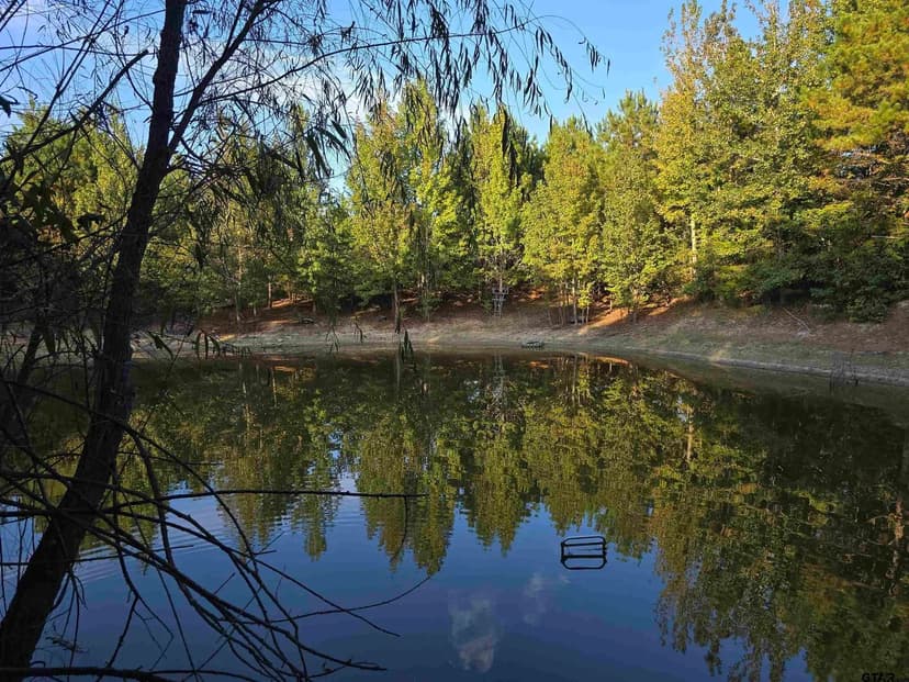 Property from TBD CR 2864/Off Road #TBD CR 2864/Off Road - KW