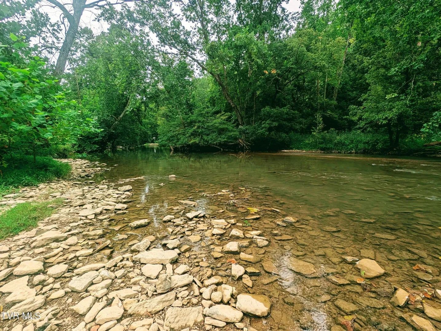 19 Acres of Land for Sale in Duffield, VA - Duffield, Virginia, 24244