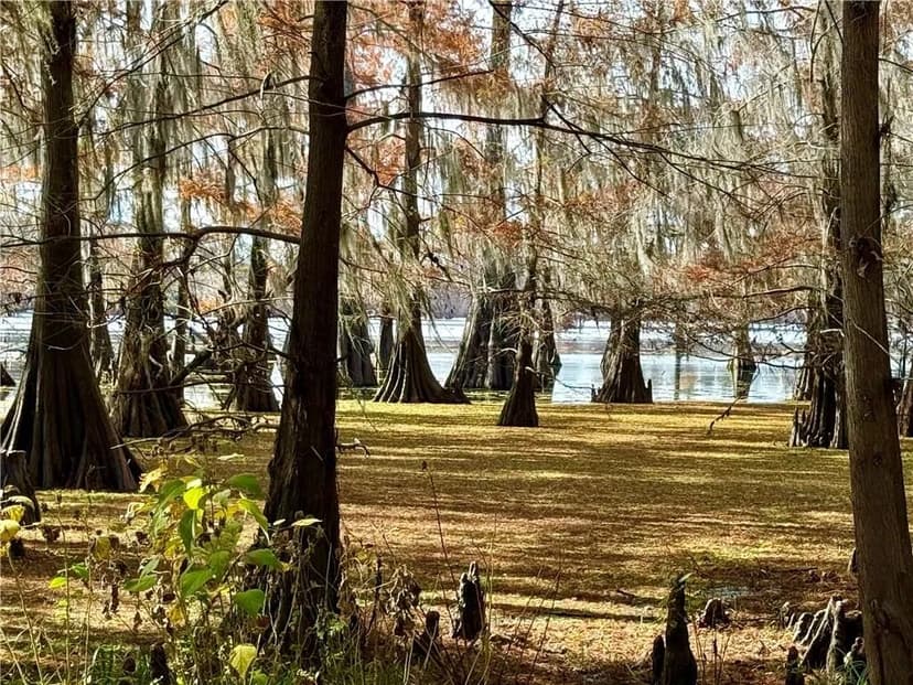 Lots & Land-Other in Pollock