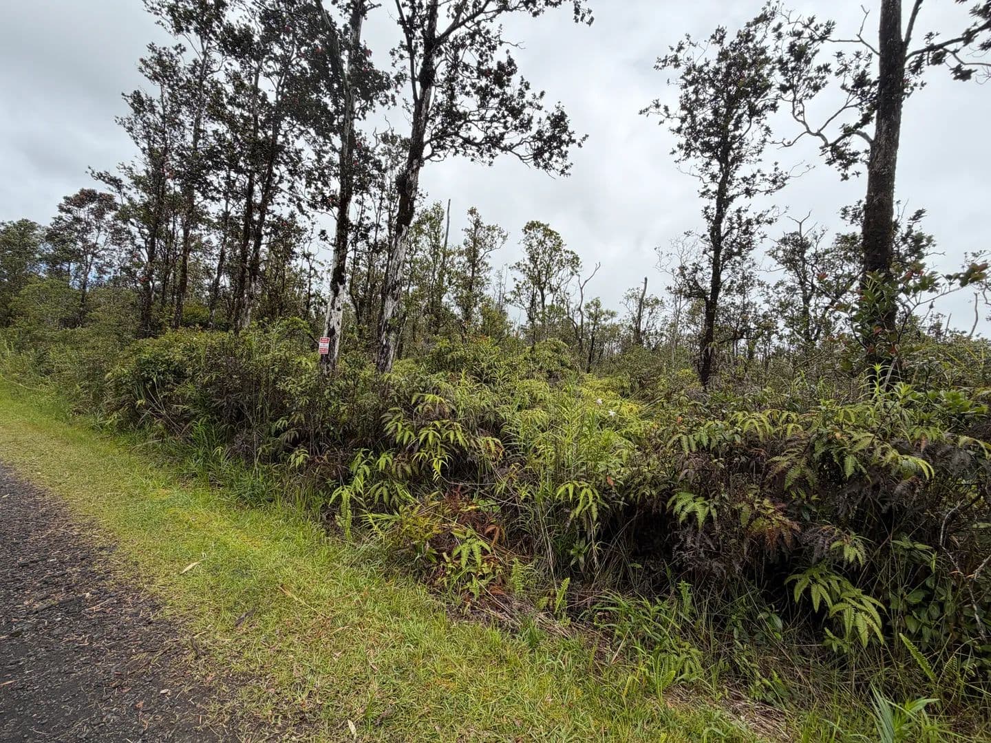 3 Acres of Land for Sale in Volcano, HI - Volcano, Hawaii, 96785