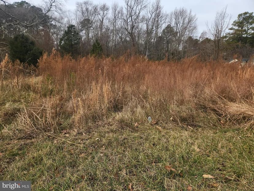 Lots & Land-Other in QUANTICO