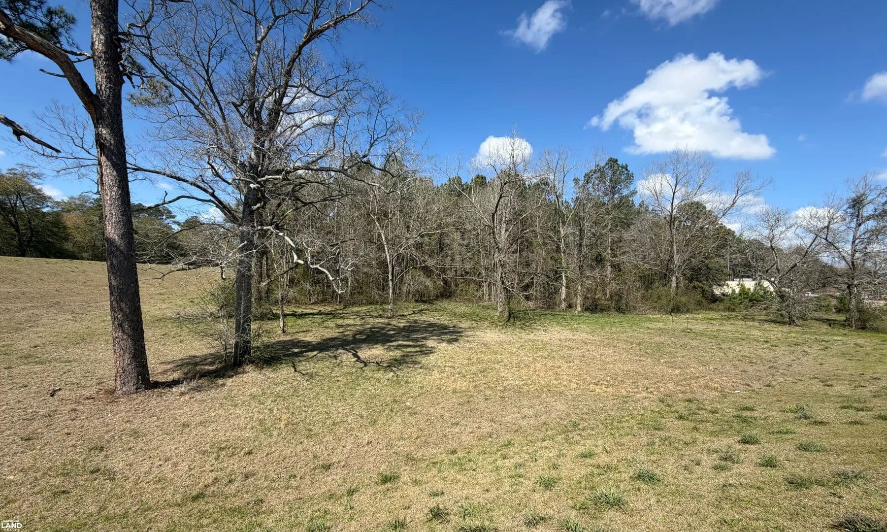 Versatile Land on Troy HWY - Elba, Alabama, 36323