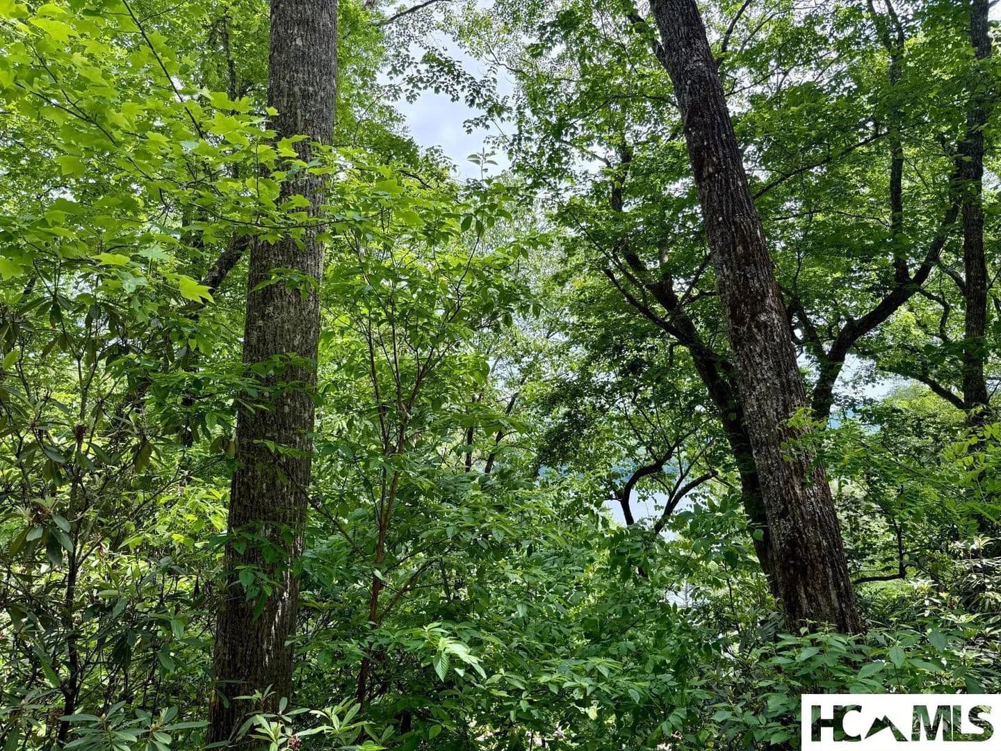Property from 14 Via Del Lago - KW - Cullowhee, North Carolina, 28723